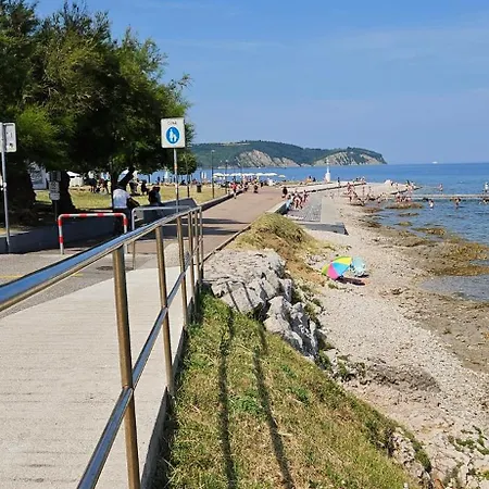 Laguna 39